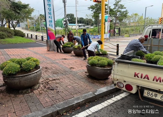 현덕면 바르게살기운동위원회, 가을꽃 심기로 행정복지센터 경관 개선