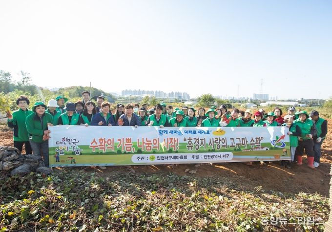 수확의 기쁨, 나눔의 시작! 휴경지 고구마 수확