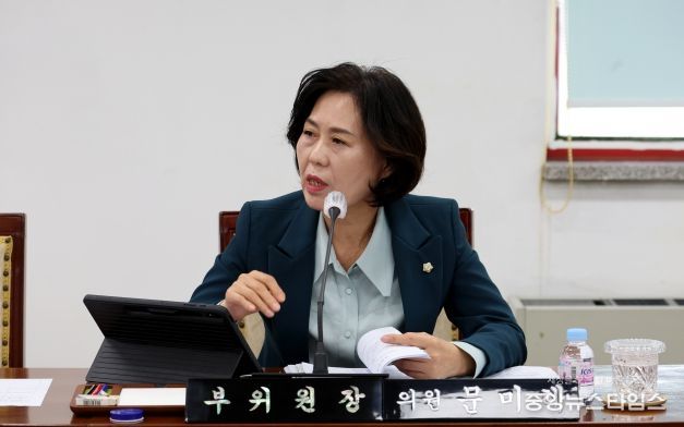 계양구의회 문미혜 의원(더불어민주당, 라 선거구)