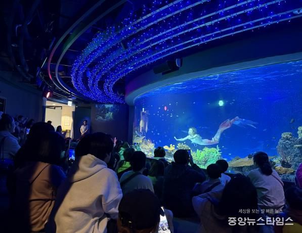 수원특례시 드림스타트 아동·가족이 아쿠아플라넷 관람을 하고 있다.