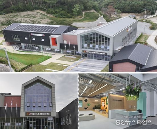 강원특별자치도 반려동물지원센터 현장사진