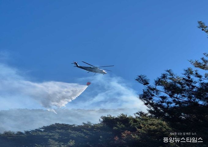 산불 진화 현장 사진