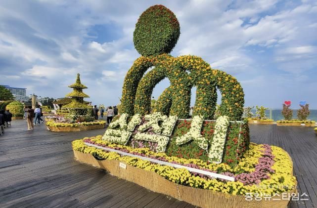 제10회 국화전시회