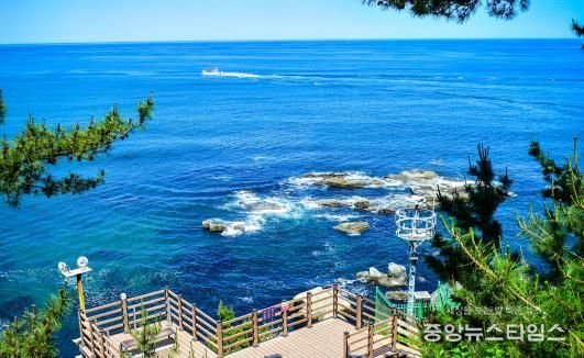 속초시 바다향기로 전경
