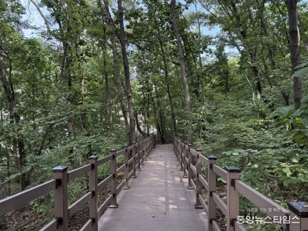 도심 속 쉼터 확대… 하남시 황산숲 데크로드 12월부터 시민 누구나 이용