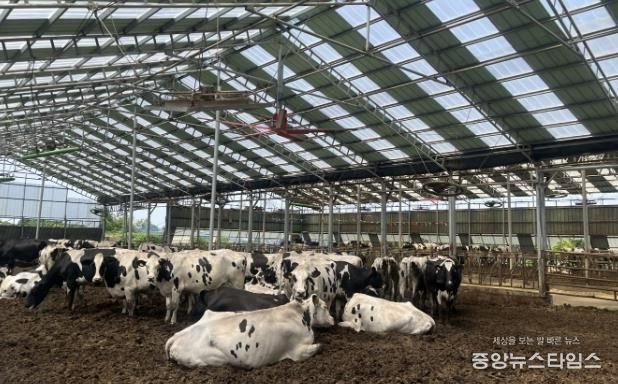 2025년 낙농육우산업 경쟁력 강화사업으로 대형환풍기 설비를 지원받은 축산농가 모습.(화성시 제공)