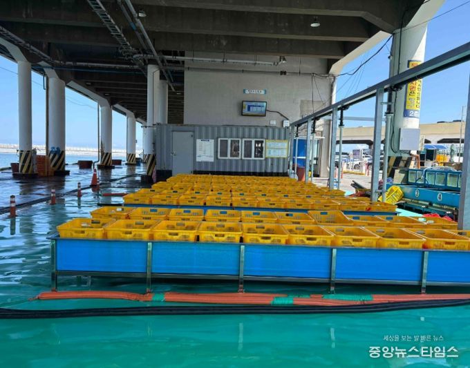 주문진항 위판장에 청정 해수공급