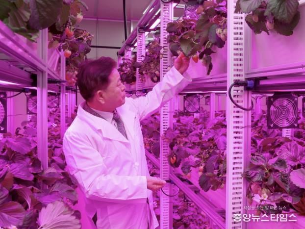 박승원 광명시장이 지난 11월 22일 광명동굴 근처 옛 업사이클아트센터에서 열린 ‘광명동굴 딸기 스마트팜’ 개소식에 참석해 스마트팜 재배시설을 둘러보고 있다.