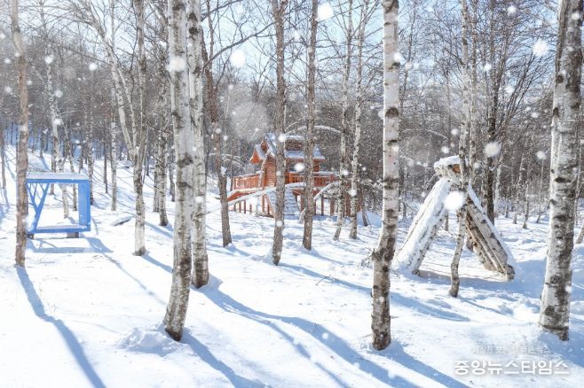 태백시, 인플루언서와 손잡고 겨울 콘텐츠 홍보