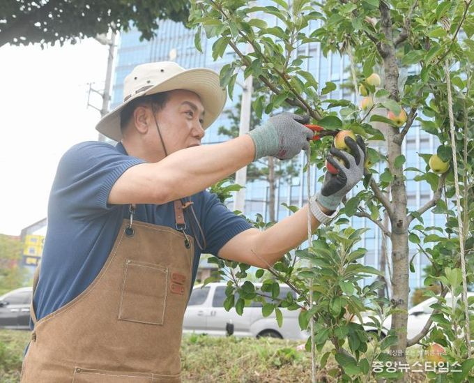 감사나무심기첫수확행사