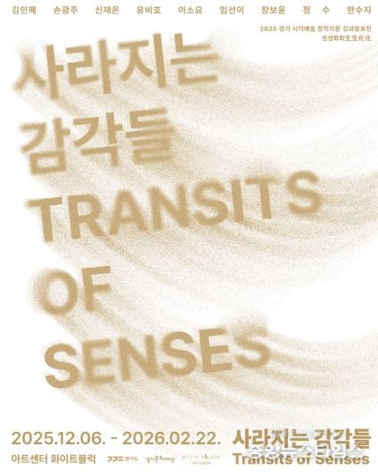 사라지는 감각들 포스터