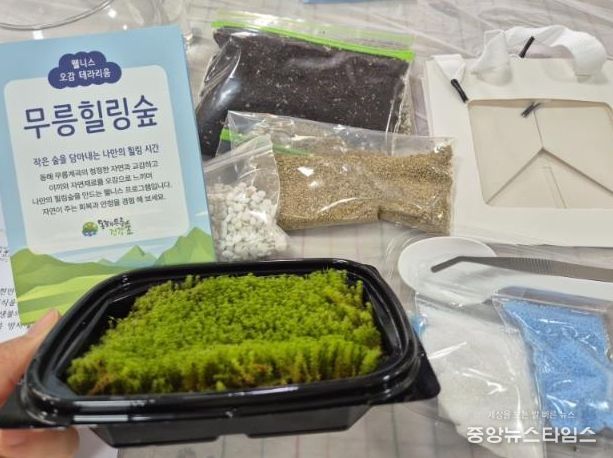 2026년 신규 웰니스 체험프로그램 ‘무릉힐링숲 만들기’ 운