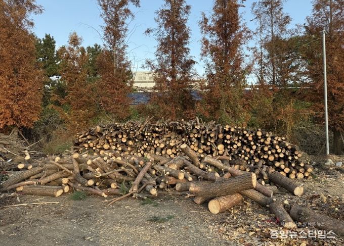 계양구, 겨울철 ‘사랑의 땔감 나눔’ 추진