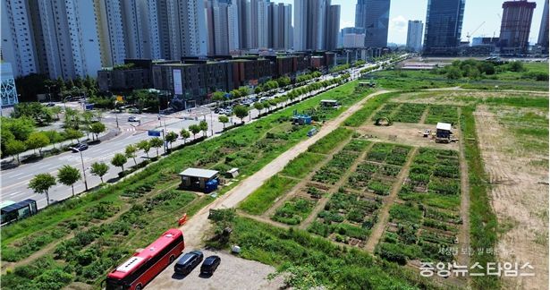이음텃밭 전경