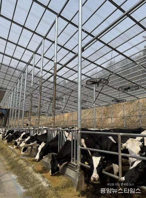 용인트례시가 '2026년 축산분야 생산지원사업' 희망 농가를 모집한다.(용인시 제공)