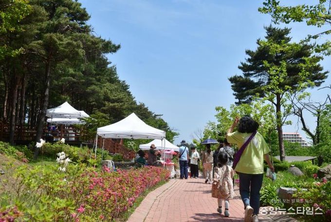 속초시립박물관, 2026년 노리숲길 숲속마켓 셀러 모집