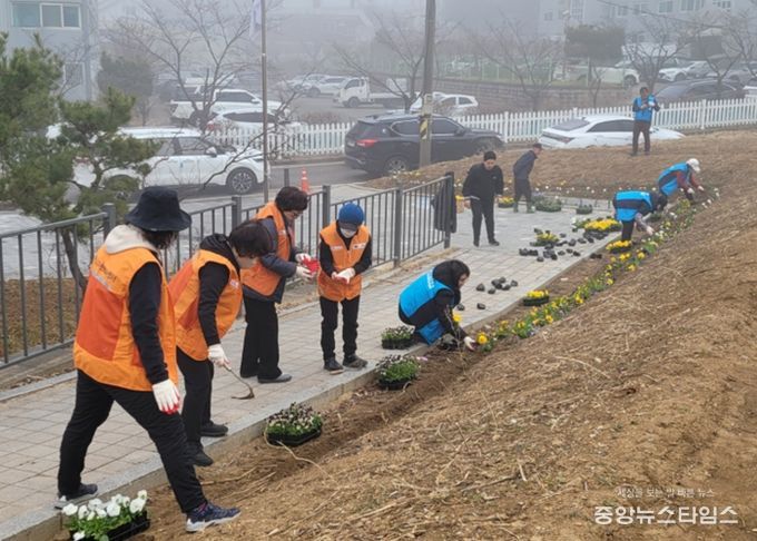 비전2동 2026년 새봄맞이 봄꽃 심기