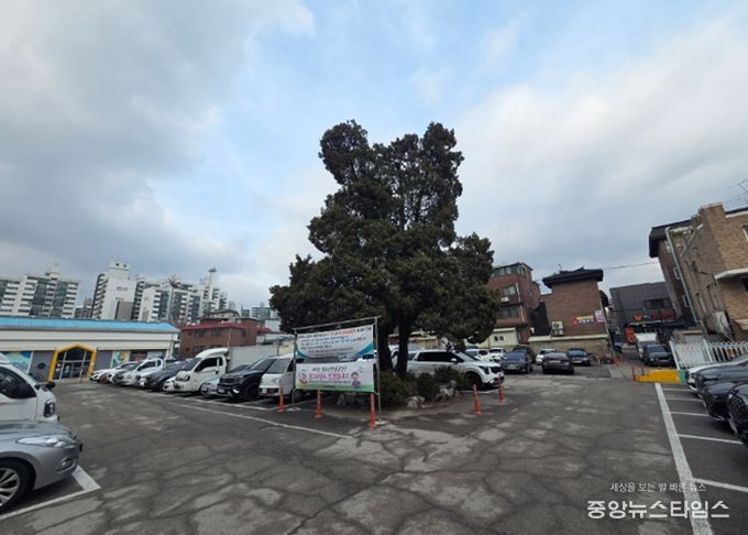 진건읍 용정리 781-2번지 일대 주차 타워 조성 예정 부지