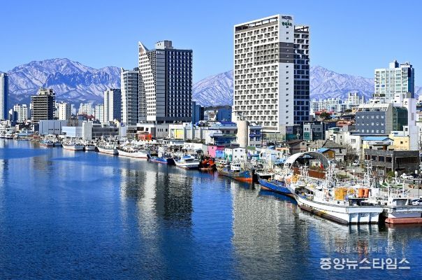 어선 현대화 관련 속초시 관내 항구 전경