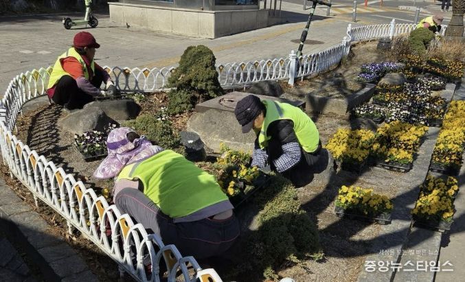 수원시 영통구, 봄꽃 식재로 도심 곳곳 '화사한 봄단장'
