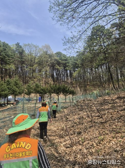 동두천시 생연1동 지역자율방재단, 봄철 산불 예방을 위한 현장 점검 실시